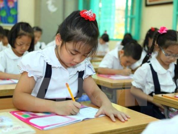 Gia sư cho học sinh lớp 4